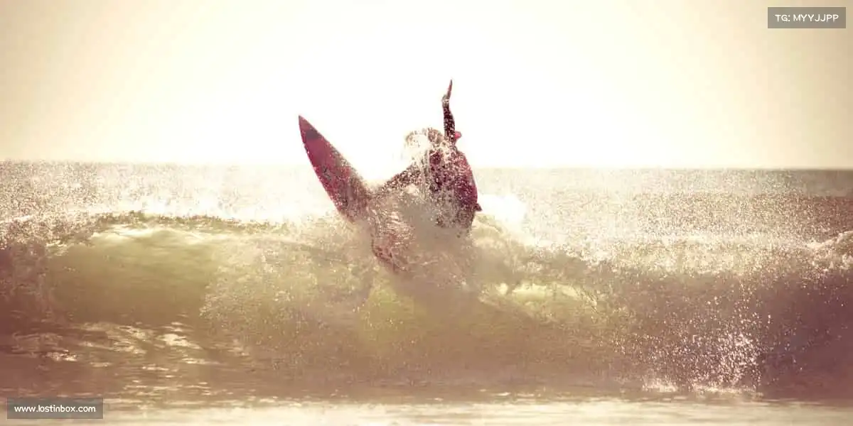 行业领先的理由